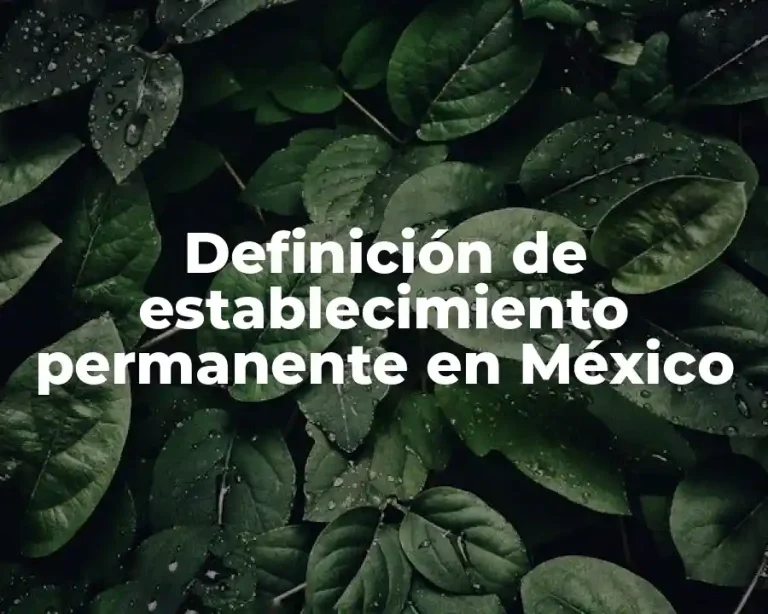 Definición de establecimiento permanente en México