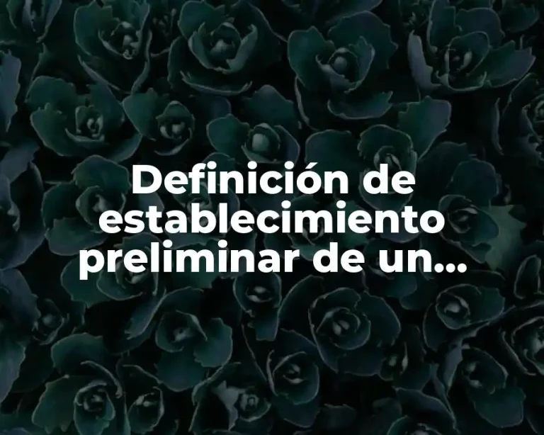 Definición de establecimiento preliminar de un problema
