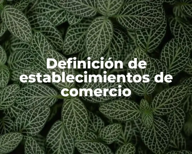 Definición de establecimientos de comercio