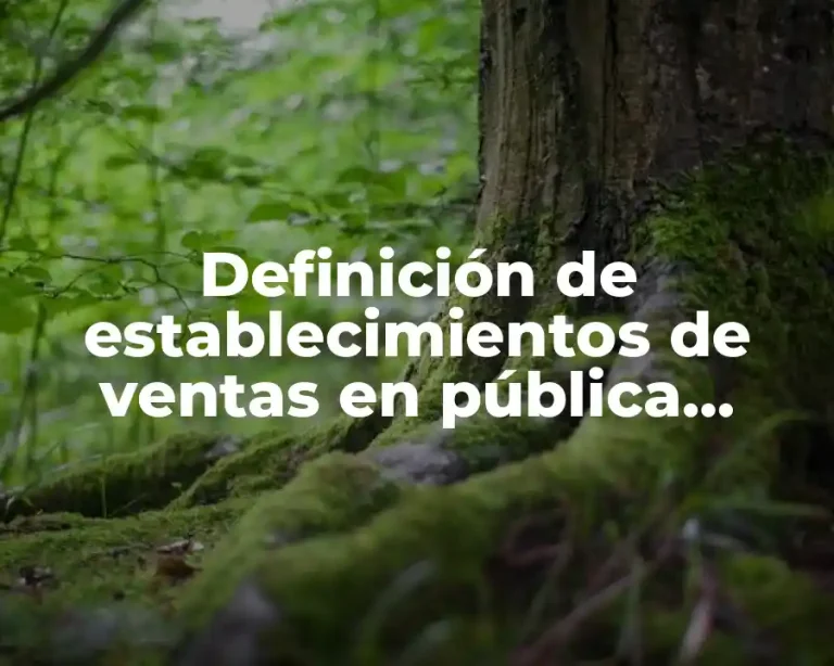 Definición de establecimientos de ventas en pública almoneda