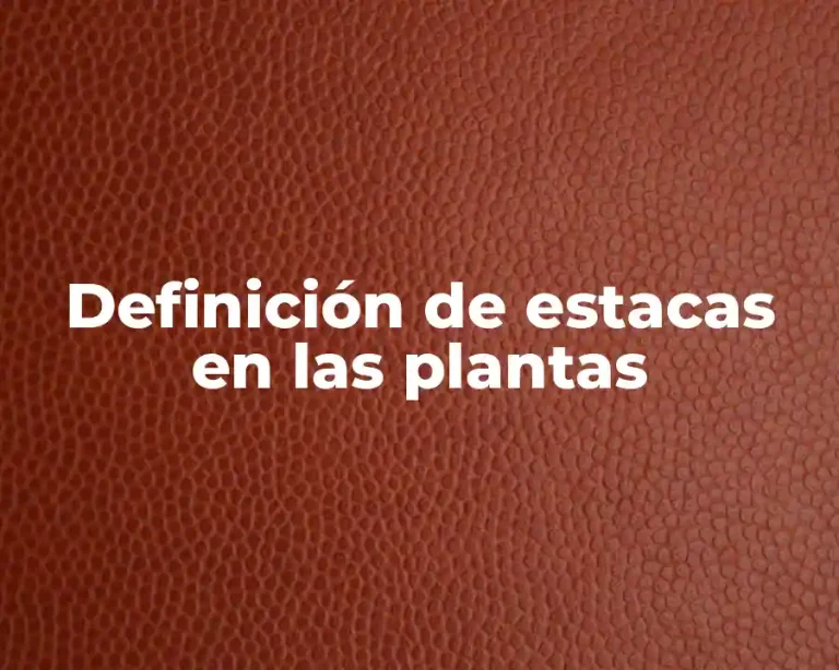 Definición de estacas en las plantas