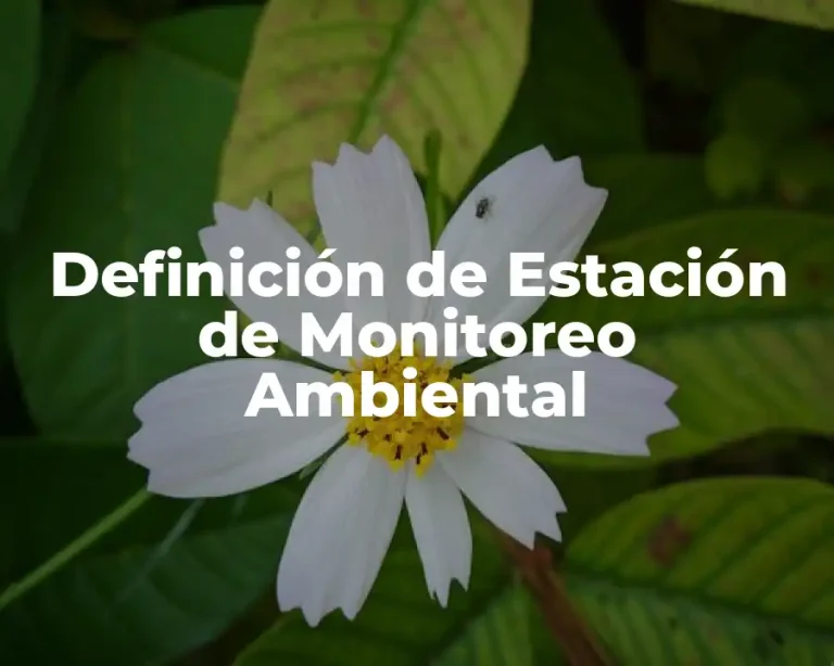 Definición de Estación de Monitoreo Ambiental