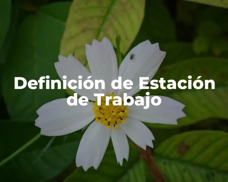 Definición de Estación de Trabajo