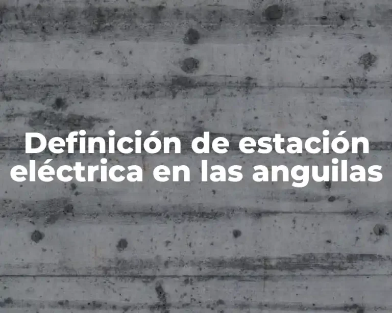 Definición de estación eléctrica en las anguilas