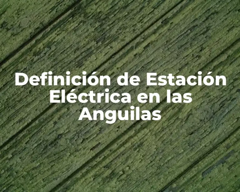 Definición de Estación Eléctrica en las Anguilas