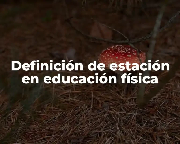 Definición de estación en educación física