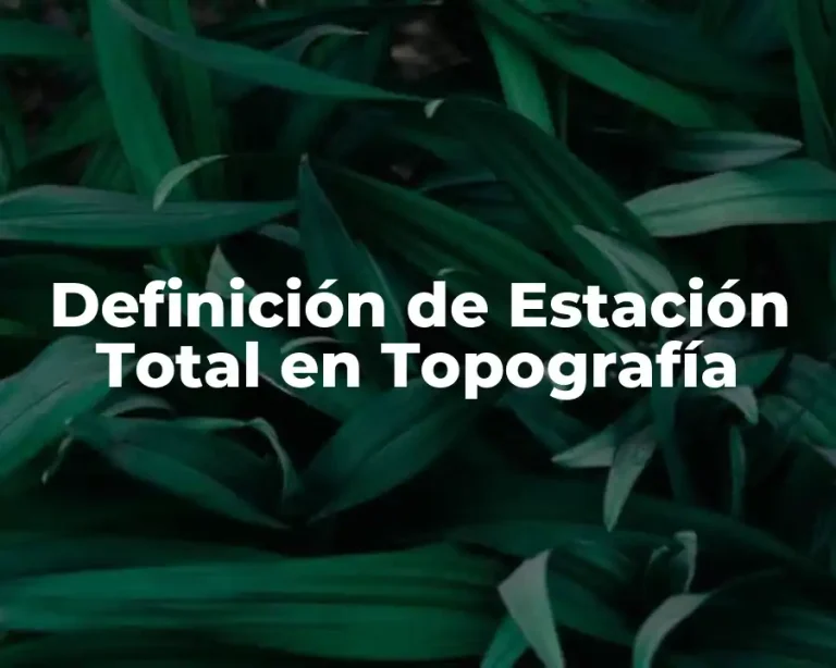Definición de Estación Total en Topografía