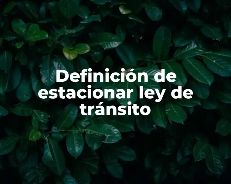Definición de estacionar ley de tránsito