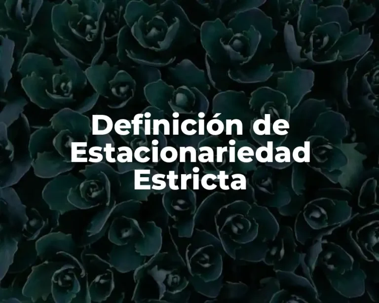 Definición de Estacionariedad Estricta