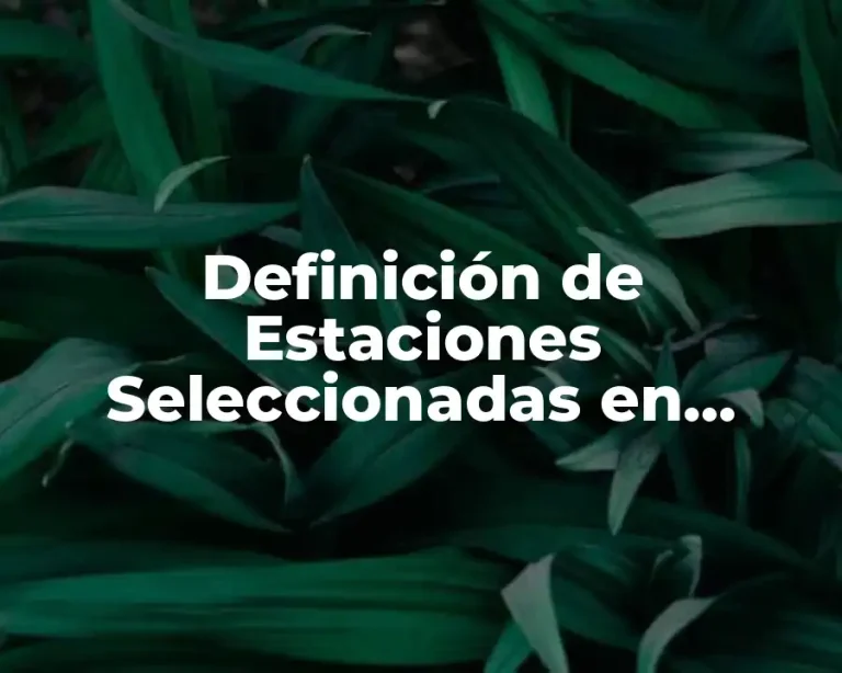 Definición de Estaciones Seleccionadas en Educación Física