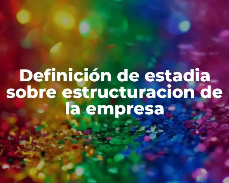 Definición de estadia sobre estructuracion de la empresa