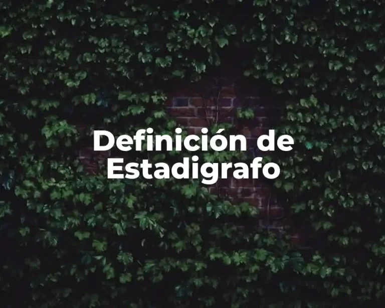 Definición de Estadigrafo
