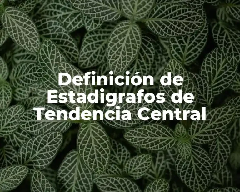 Definición de Estadigrafos de Tendencia Central