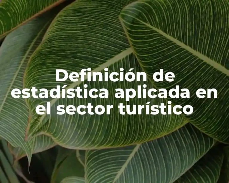Definición de estadística aplicada en el sector turístico