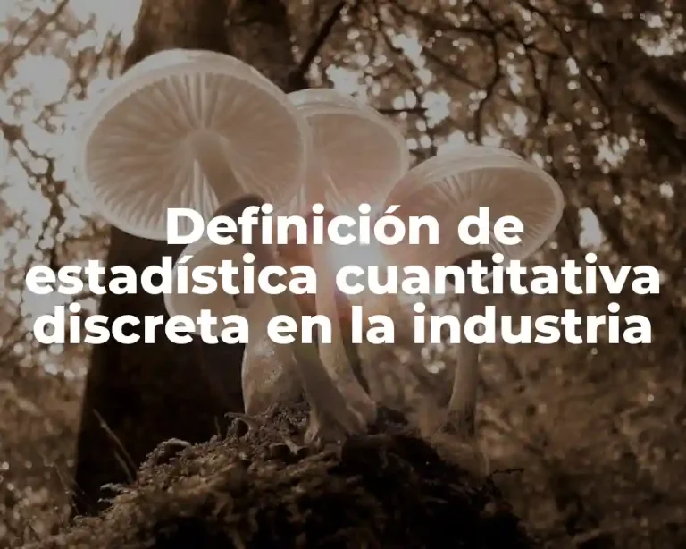Definición de estadística cuantitativa discreta en la industria