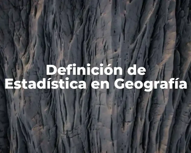 Definición de Estadística en Geografía