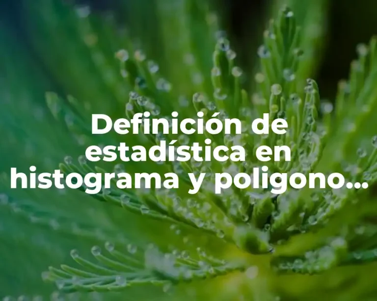 Definición de estadística en histograma y poligono de frecuencia