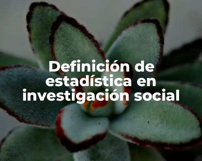 Definición de estadística en investigación social
