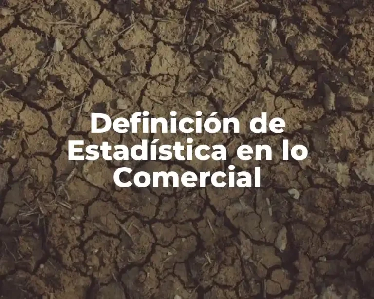 Definición de Estadística en lo Comercial