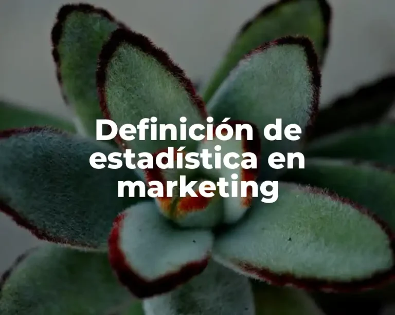 Definición de estadística en marketing