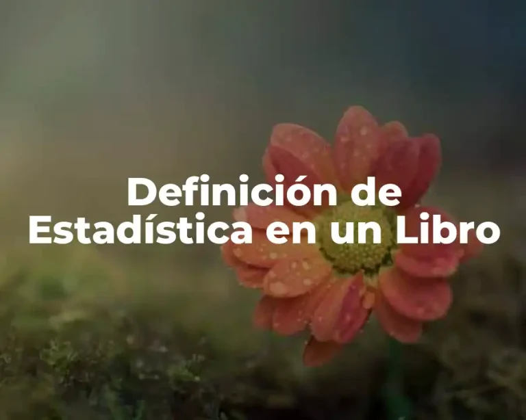 Definición de Estadística en un Libro