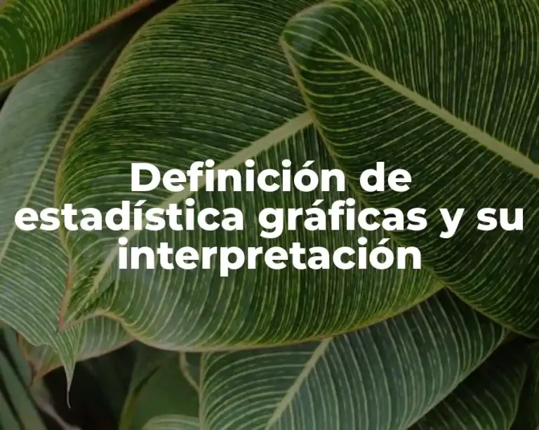 Definición de estadística gráficas y su interpretación