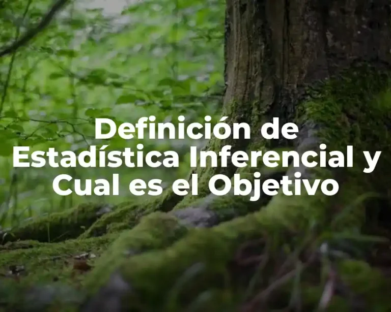 Definición de Estadística Inferencial y Cual es el Objetivo