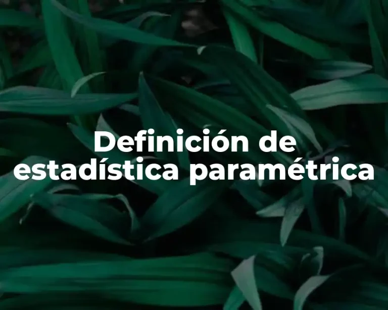 Definición de estadística paramétrica