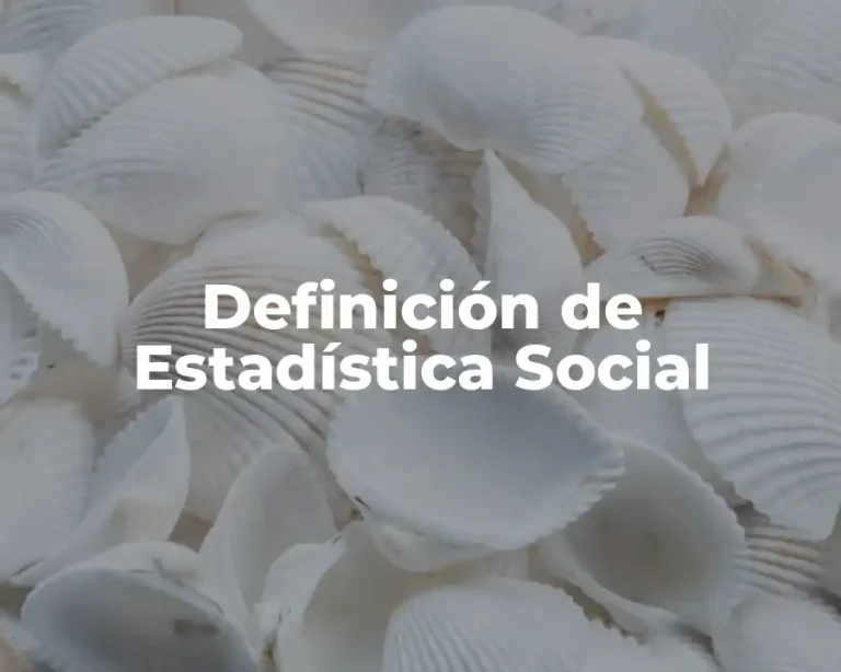 Definición de Estadística Social