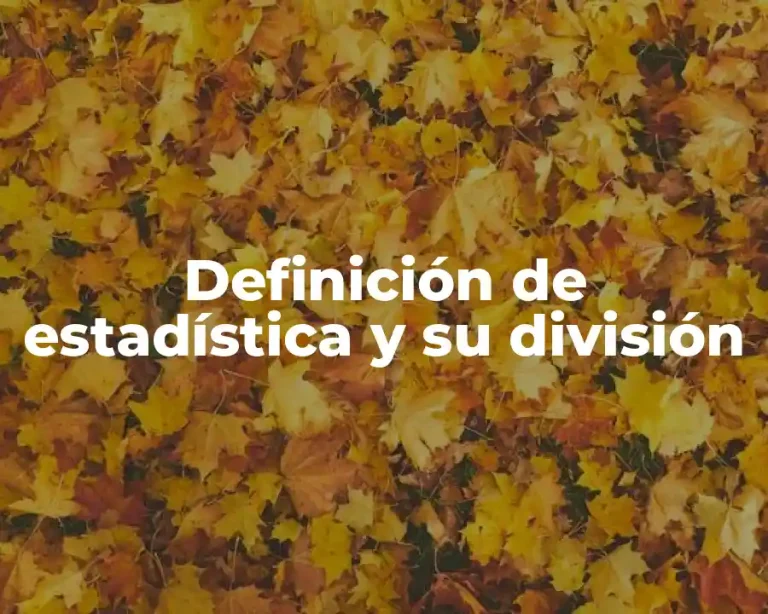 Definición de estadística y su división