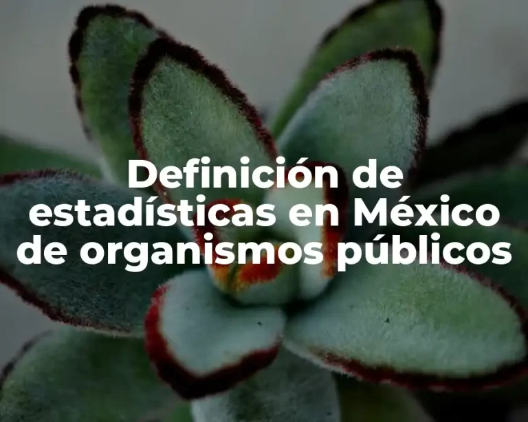 Definición de estadísticas en México de organismos públicos