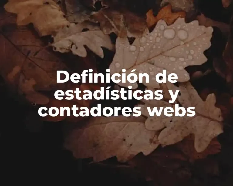 Definición de estadísticas y contadores webs