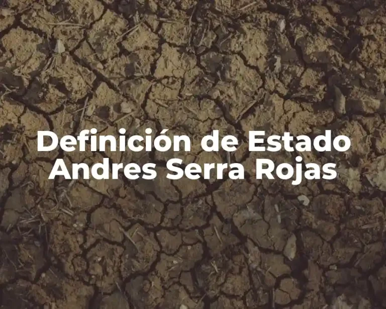 Definición de Estado Andres Serra Rojas