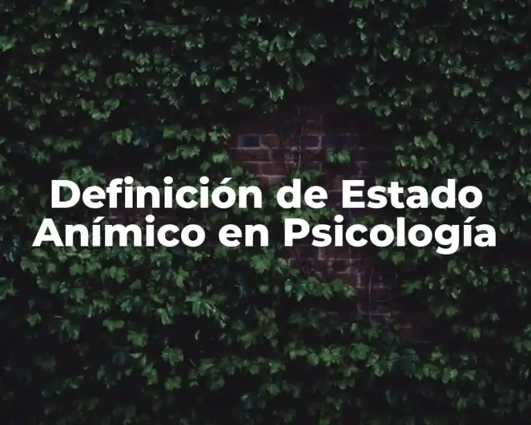 Definición de Estado Anímico en Psicología