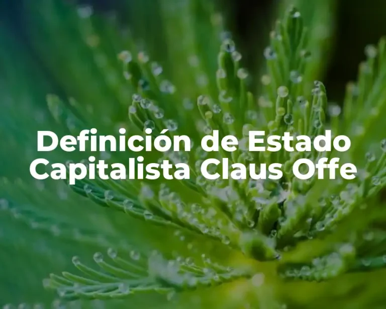 Definición de Estado Capitalista Claus Offe