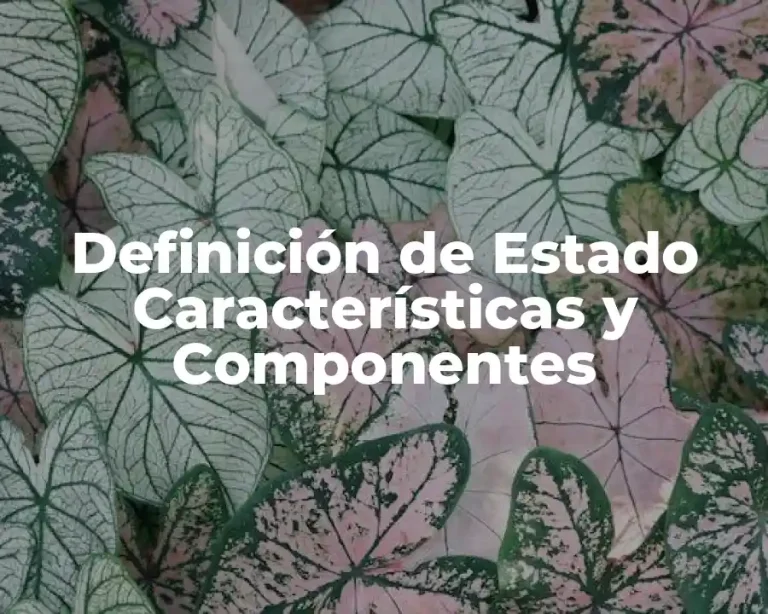 Definición de Estado Características y Componentes