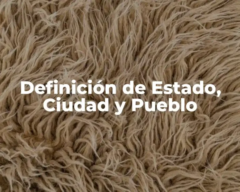 Definición de Estado, Ciudad y Pueblo