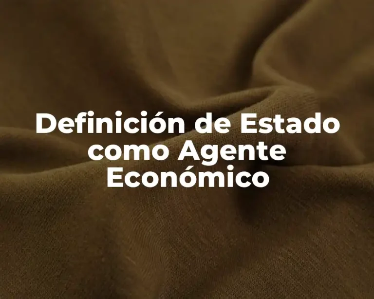 Definición de Estado como Agente Económico