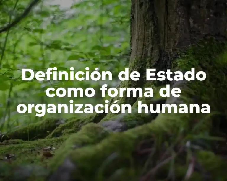 Definición de Estado como forma de organización humana