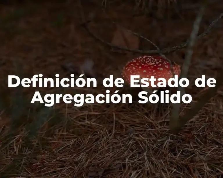 Definición de Estado de Agregación Sólido