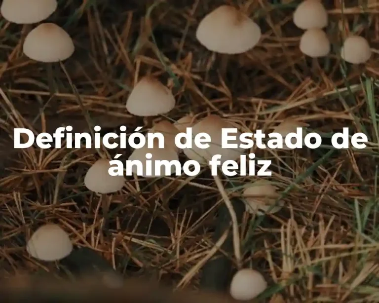 Definición de Estado de ánimo feliz