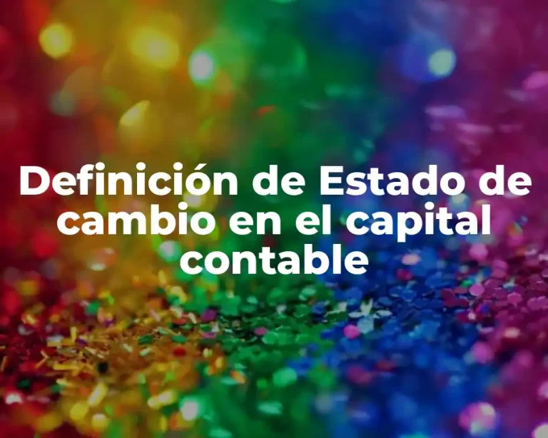 Definición de Estado de cambio en el capital contable