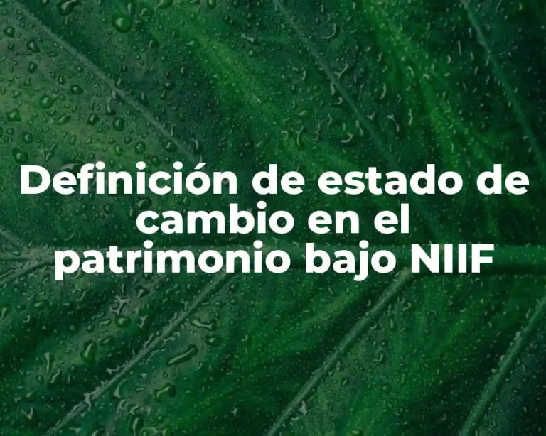 Definición de estado de cambio en el patrimonio bajo NIIF