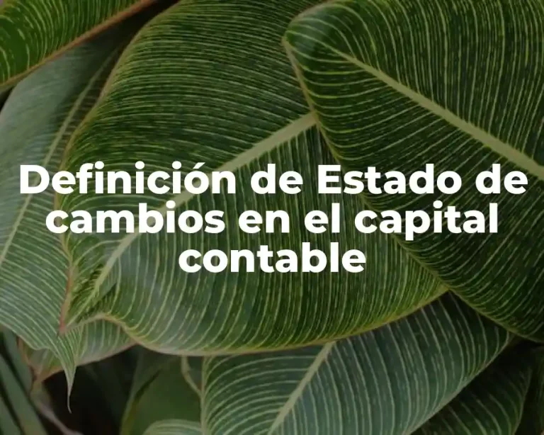 Definición de Estado de cambios en el capital contable