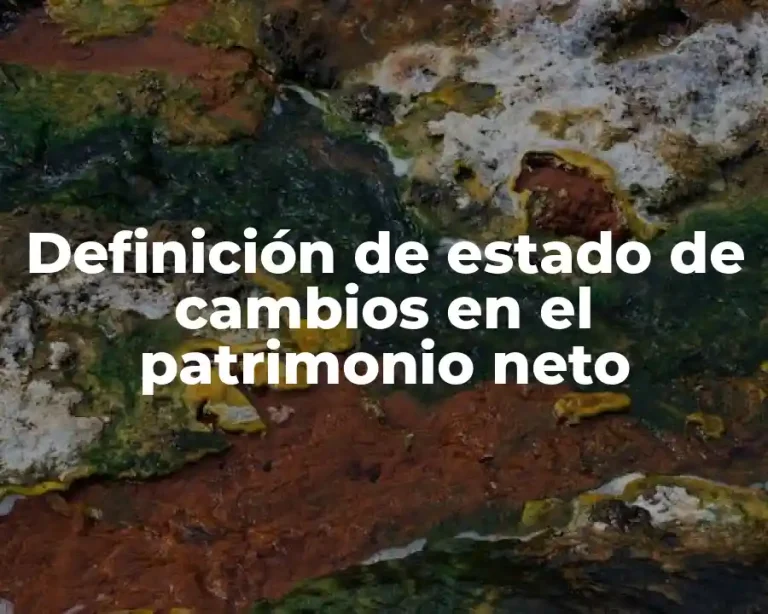 Definición de estado de cambios en el patrimonio neto