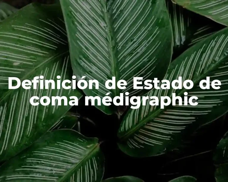 Definición de Estado de coma médigraphic