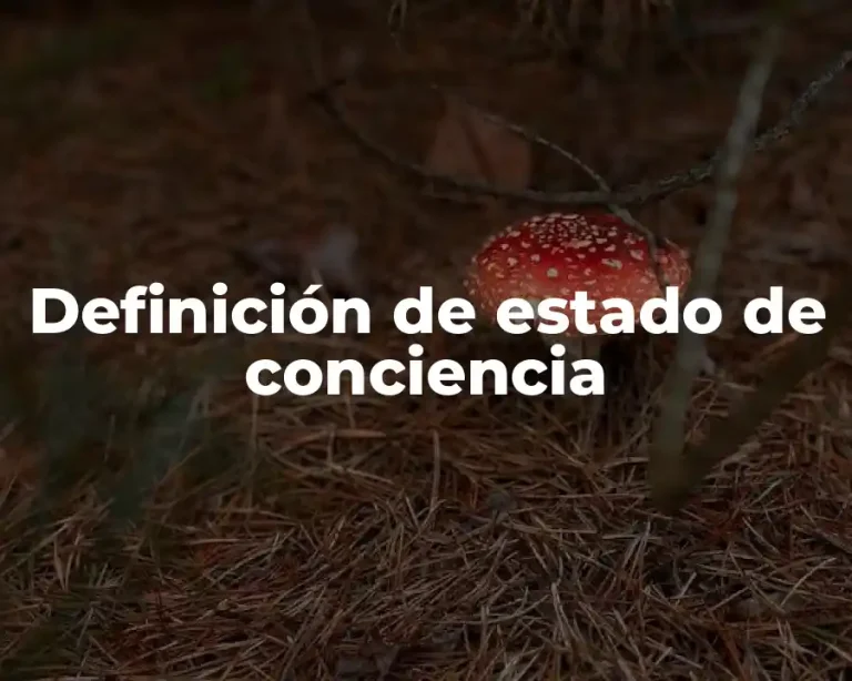 Definición de estado de conciencia