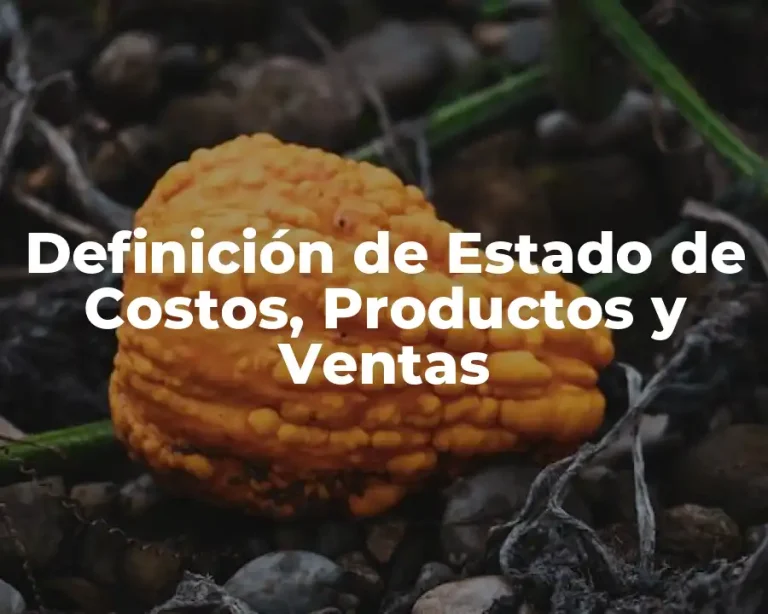 Definición de Estado de Costos, Productos y Ventas