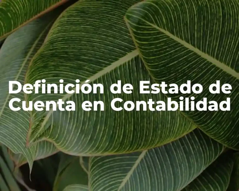 Definición de Estado de Cuenta en Contabilidad