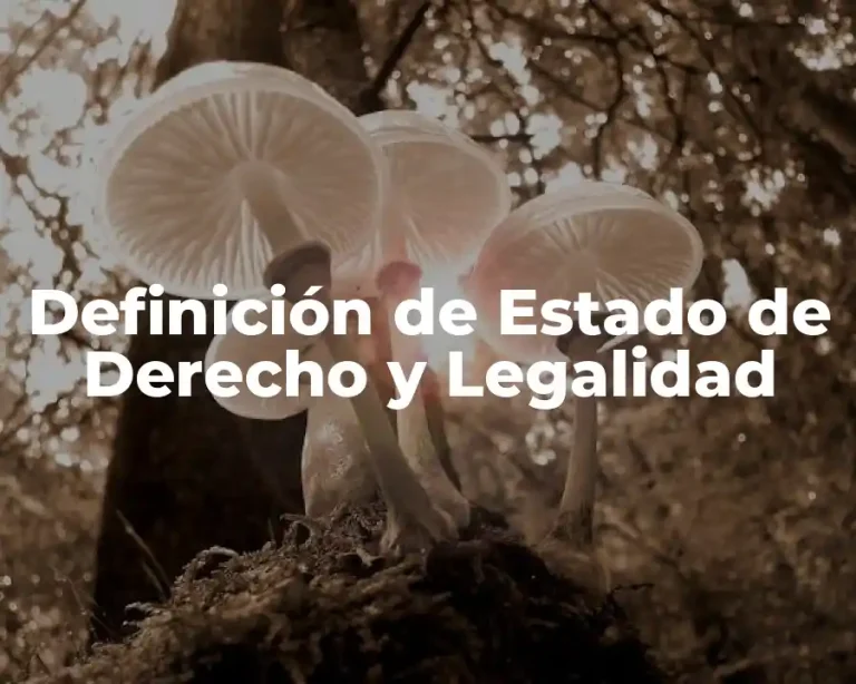 Definición de Estado de Derecho y Legalidad